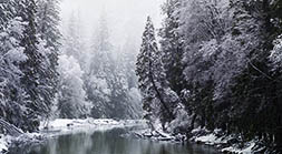 Merced River Snow Scene